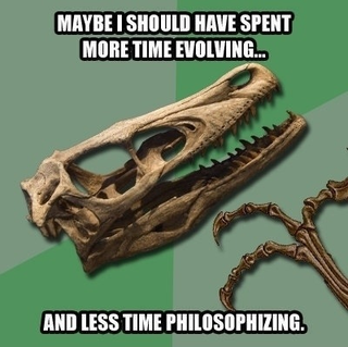 Illustration for article titled Evolution 101: The Missing Link FAQ
